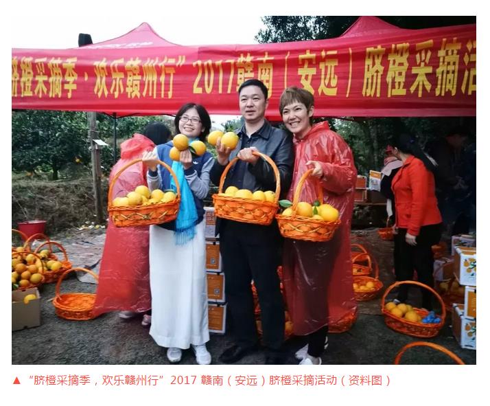 2018赣南脐橙网络博览会11月16日开幕