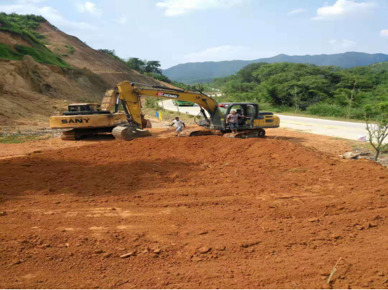 小江镇全面推进柳塘千亩脐橙基地建设