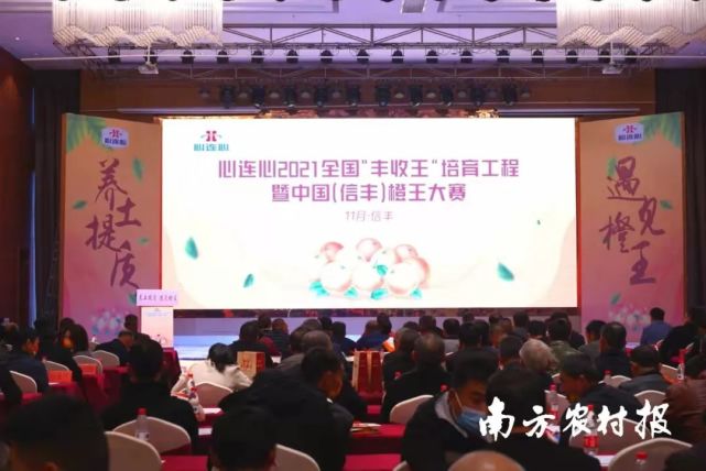 信丰脐橙“丰收王”甜蜜出炉，助力产区提质增效