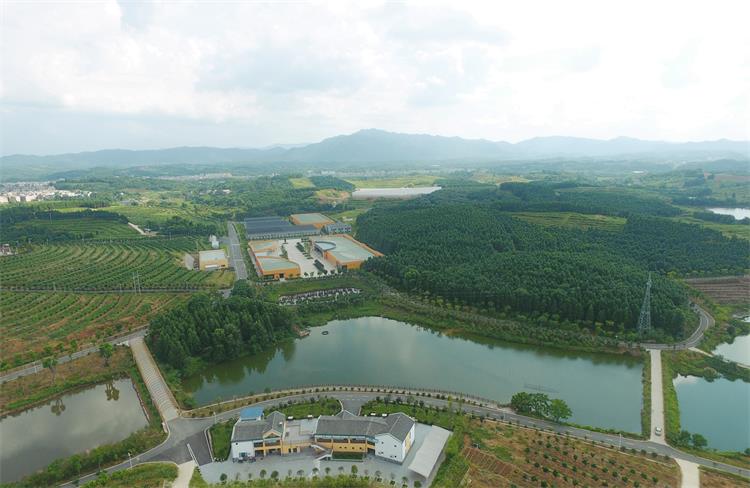 信丰用心打造良“橙”美景 信丰用心打造良“橙”美景