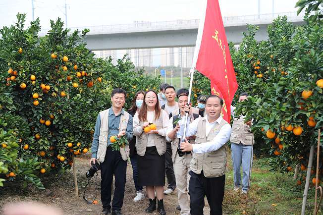 赣南脐橙甜、香、美！湾区记者如是说！