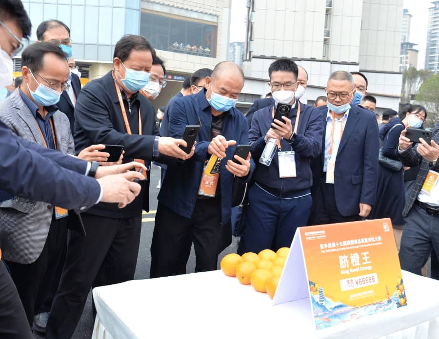 2022赣南脐橙国际博览会在信丰开幕